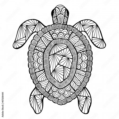 coloring pages : Detailed Turtle Coloring Pages Sea Advanced Page To Z  Teacher Stuff Marvelous Picture Ideas Box For Adults Marvelous Detailed  Turtle Coloring Pages Picture Ideas ~ mommaonamissioninc