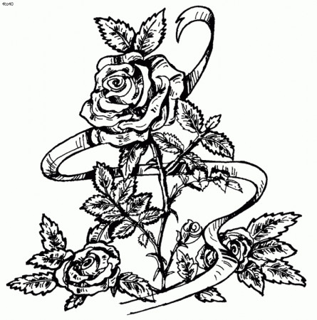 Get This Printable Roses Coloring Pages for Adults 41558 !