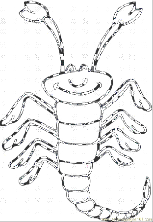 Free Scorpion Pictures For Kids, Download Free Clip Art, Free Clip Art on  Clipart Library
