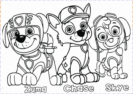 Coloring Pages : Creative Of Free Paw Patrol Coloring Activity ...