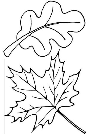 fall leaves coloring page - High Quality Coloring Pages