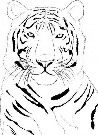 Tiger Paw Print Coloring Page - Coloring Pages for Kids and for Adults