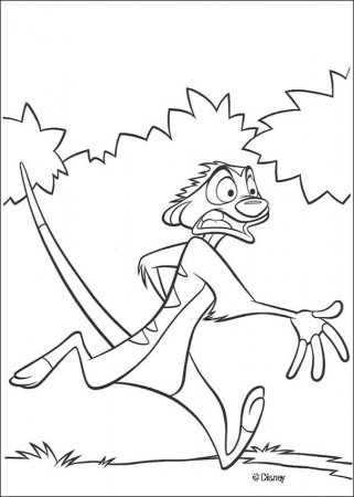 The Lion King coloring pages - Timon Unhappy with Pumbaa