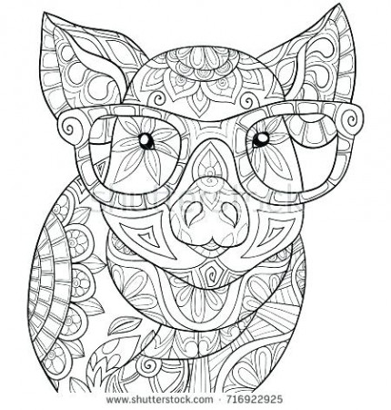 Cute pig coloring page Cute pig coloring pages ideas cute pigs baby pigs  animal | Dore.anayelizavalacitycouncil.com