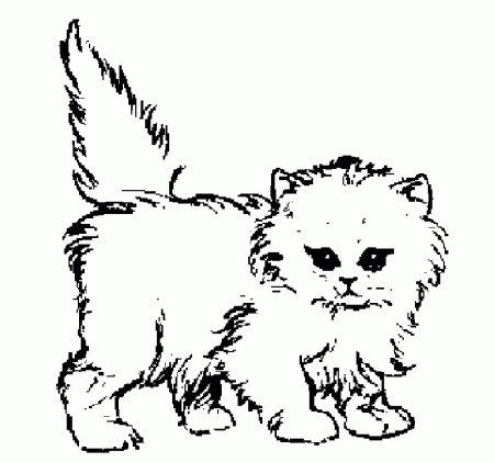 Puppies And Kittens - Coloring Pages for Kids and for Adults