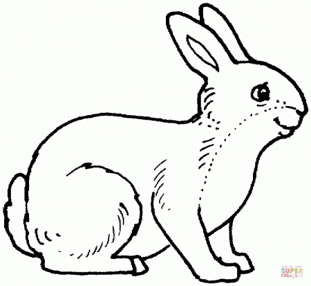 Kindergarten Easter Bunny Coloring Pages, Education Bunny Coloring ...