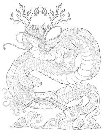 PDF DIGITAL 24 Dragon Coloring Pages VOL. 3/fantasy Adult - Etsy