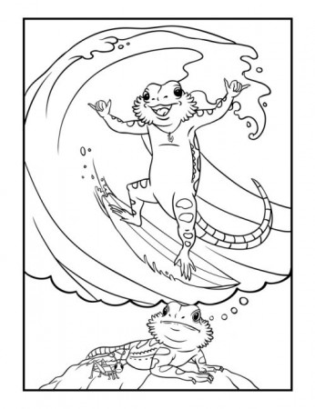 Bearded Dragon Daydreams Coloring Book - Bilingual Monkeys