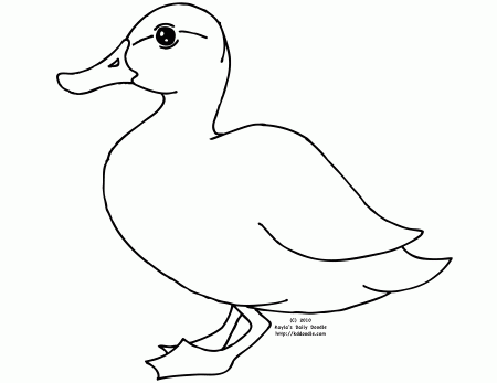 Duck Coloring Pictures - Coloring Pages for Kids and for Adults