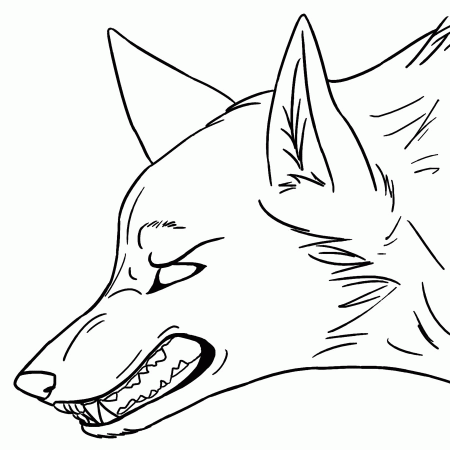 15 Pics of Teenage Boys Anime Wolf Coloring Page - Anime Wolves ...