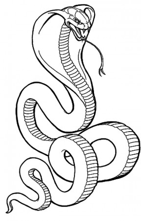 King Cobra Coloring Pages | Kids Play Color