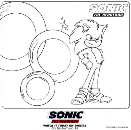 Sonic The Hedgehog Races To Digital With Amazing Bonus Features | Hedgehog  colors, Hedgehog movie, Sonic