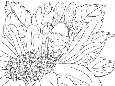 Scenery Coloring Pages for Adults - Best Coloring Pages For Kids