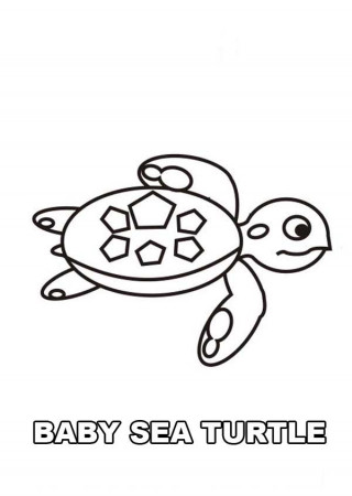 Baby Sea Turtle Coloring Page - Free & Printable Coloring Pages ...