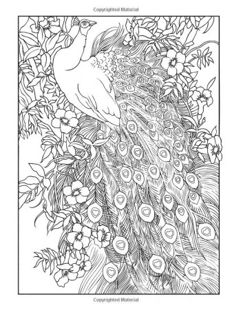 Creative Haven Peacock Designs Coloring Book | Only Coloring Pages
