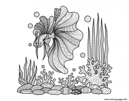 Print adult zentangle fish on corals by bimdeedee Coloring pages
