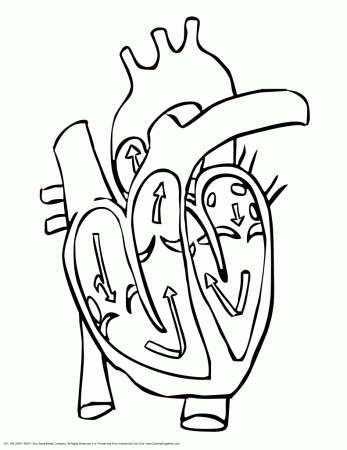 Blood Heart Coloring Pages - Ð¡oloring Pages For All Ages
