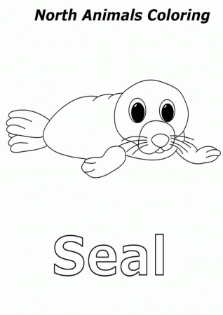 Baby Seal in Arctic Animals Coloring Page | Kids Play Color