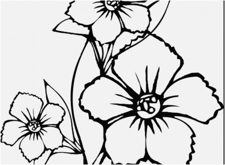 Coloring Images Of Flowers Pics Pretty Looking Flowers Coloring ...