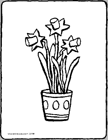 daffodils in a flower pot - kiddicolour