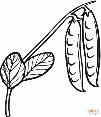 Green Bean Coloring Pages With His Leaf | Coloring.Cosplaypic.com