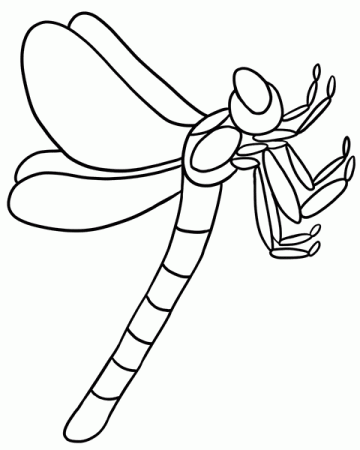 Bug Museum - Bug Coloring Pages - Dragonfly (4)