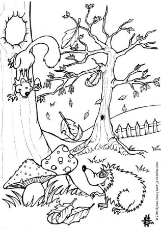 Squirrel and hedgehog coloring page. More Forest Animals coloring sheets on  hellokids.com | Fall coloring pages, Coloring pages, Animal coloring pages