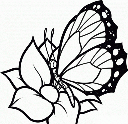 Butterfly With Flowers Coloring Pages Coloring Pages Flowers And ...