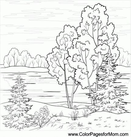 Landscape Coloring Page for adults