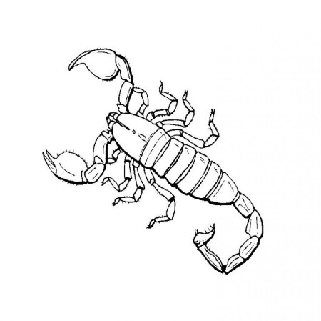 Anime Scorpion Coloring Pages - Coloring Pages For All Ages