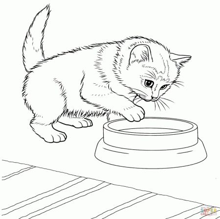 New Coloring Pages : Javanese Kitten Page Kitty Cat Cats ...