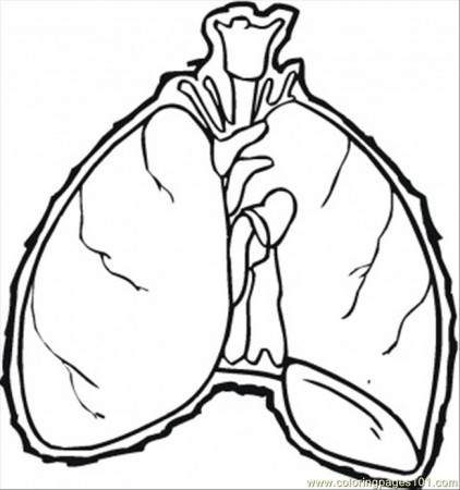 Lungs printable coloring page for kids and adults