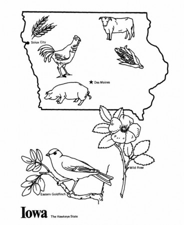 North Carolina State outline Coloring Page | CC Cycle 3 Week 3 ...