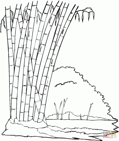 Bamboo in the jungle coloring page | Free Printable Coloring Pages