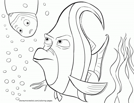 Finding Nemo Printable Coloring Pages | Free Coloring Pages