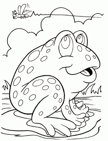 Frog coloring page - Animals Town - animals color sheet - Frog 