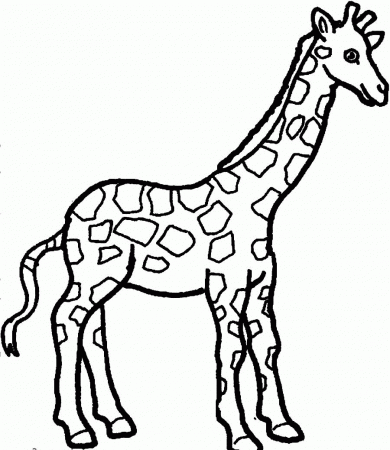 12 Pics of Printable Coloring Pages Giraffe - Free Giraffe ...