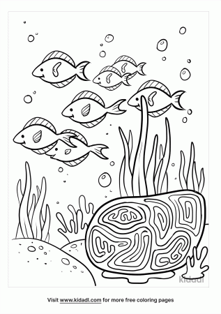 Coral Reef Coloring Pages | Free Ocean Coloring Pages | Kidadl