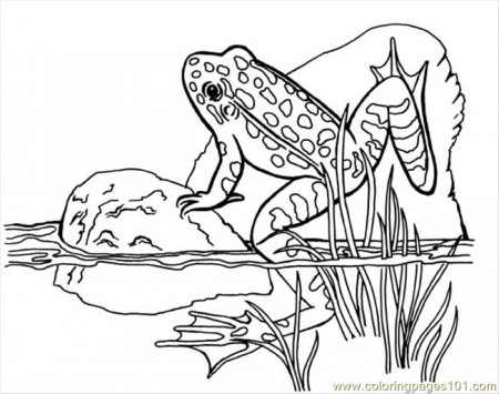 Leo Coloring Page for Kids - Free Frog Printable Coloring Pages Online for  Kids - ColoringPages101.com | Coloring Pages for Kids