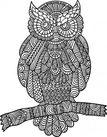 Owl Mandala Coloring Pages for Adults 6326370 Vector Art at Vecteezy