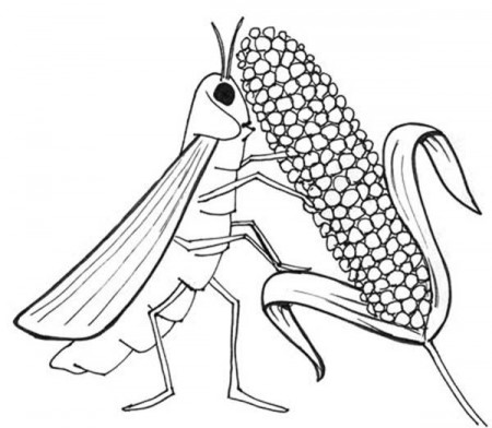 Locust Eat All Livestock in 10 Plagues of Egypt Coloring Page ...