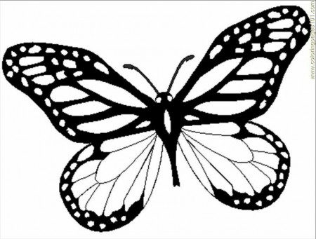 7 Pics of Realistic Butterfly Coloring Page - Monarch Butterfly ...