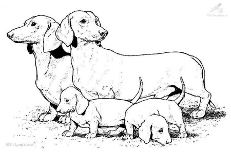Realistic Dog Coloring Page