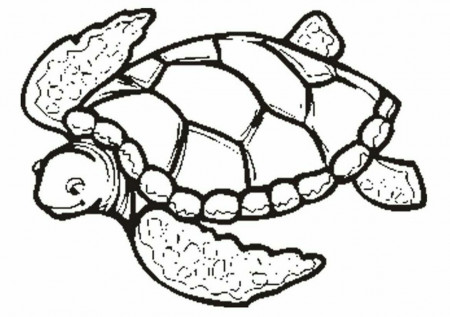turtle coloring page | Only Coloring Pages