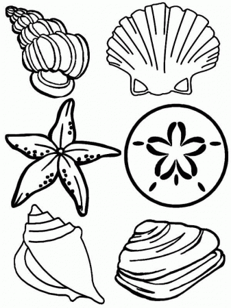 Seashell For Kids - Coloring Pages for Kids and for Adults