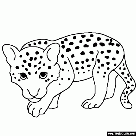 Baby Animals Online Coloring Pages | Page 1