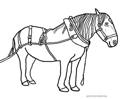 Horse Coloring Pages: Pick and Print Your Pony