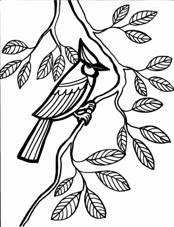 Blue Jay Coloring Page Beautiful Bird Coloring Pages ...