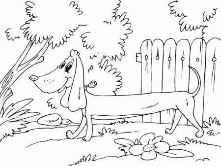 Sausage Dog coloring page - Coloring Pages 4 U