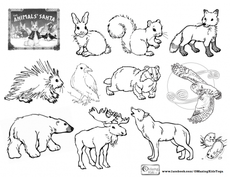 forest animals coloring pages - High Quality Coloring Pages